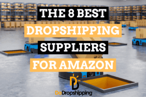 8 Best Dropshipping Suppliers for Selling on Amazon
