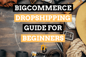 BigCommerce Dropshipping: A Beginner’s Guide