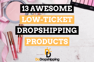 13 Awesome Low-Ticket Dropshipping Product Examples