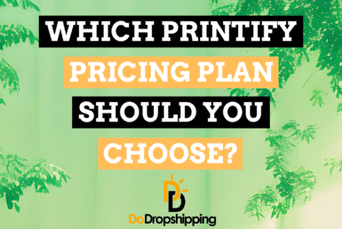 Printify Pricing Plans: Which One Is Best for You?