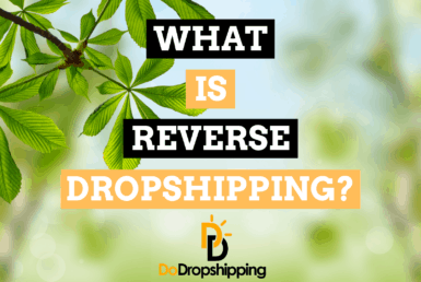 What Is Reverse Dropshipping? (And Should You Do It?)