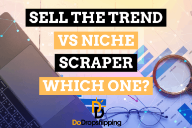 Sell The Trend vs Niche Scraper: Which One to Pick?