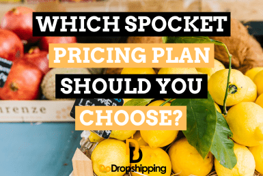 Spocket Pricing Plans: Which One Should You Choose?