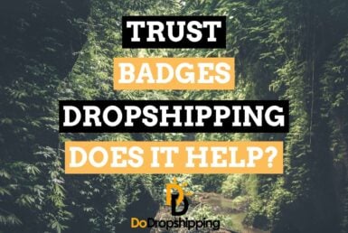 Trust Badges for Dropshipping Stores: Doe Is It Work in 2021?
